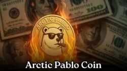Arctic Pablo Meme Coin Surges: Whales Invest Heavily Pre-Launch!