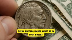 Could This Buffalo Nickel in Your Pocket Be Worth $925,000?