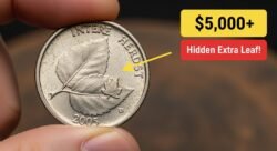 The 2005 Nickel With a Hidden Extra Leaf That Collectors Are Paying Over $5,000 For