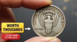 Everyday Coin You’ve Been Spending Could Actually Be Worth Thousands